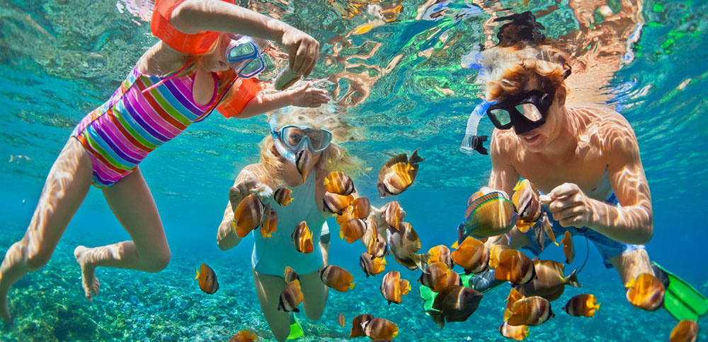 7 Best Snorkeling Places in Florida
